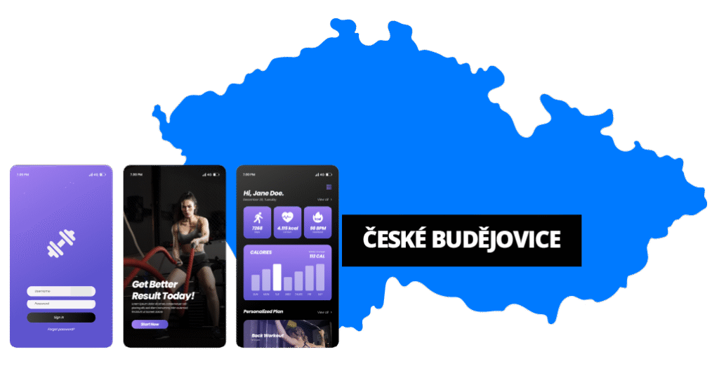 Vývoj aplikací na zakázku – České Budějovice